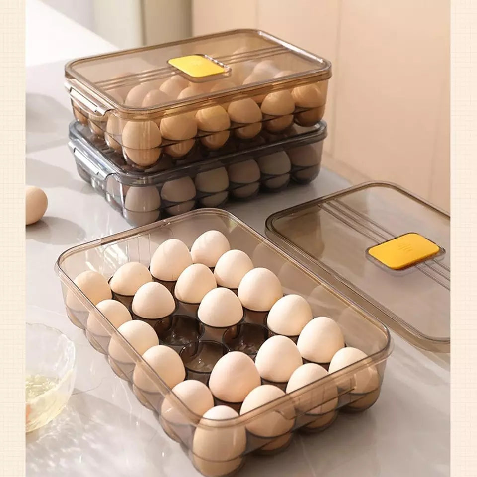 ORGANIZADOR DE HUEVOS