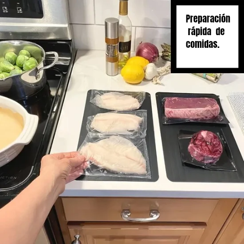 Plancha descongeladora