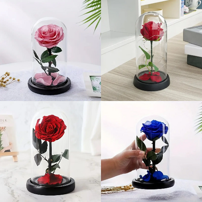 Rosa eterna encapsulada