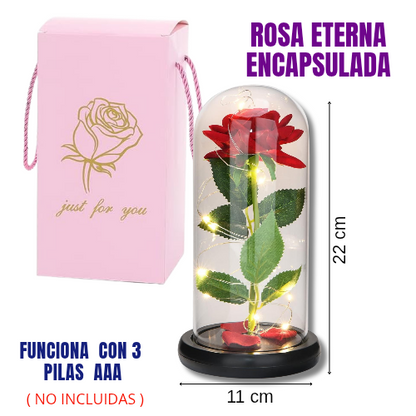 Rosa eterna encapsulada