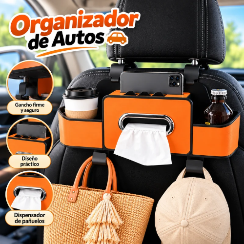 Organizador de auto