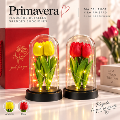 TULIPANES ETERNOS